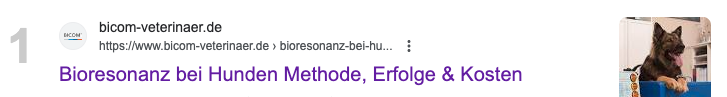 bioresonanz-hund